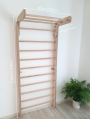 Wall Bars for Kids – Monkey Gym P220