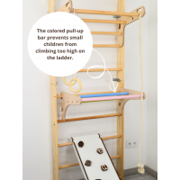 Colored Pull-Up Bar