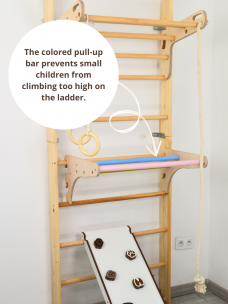 Colored Pull-Up Bar