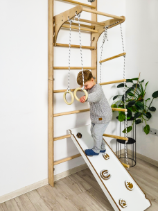 Wall bars climbing frame monkey barsP60