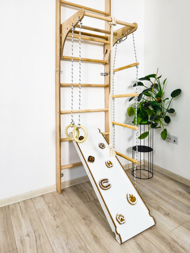 Wall bars climbing frame monkey barsP60