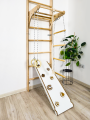 Wall bars climbing frame monkey barsP60