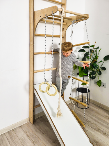 Wall bars climbing frame monkey barsP60