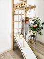 Wall bars climbing frame monkey barsP60