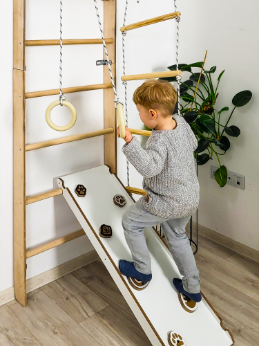 Wall bars climbing frame monkey barsP60
