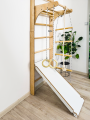Wall bars climbing frame monkey barsP60