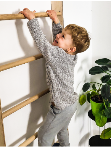 Wall bars climbing frame monkey barsP60
