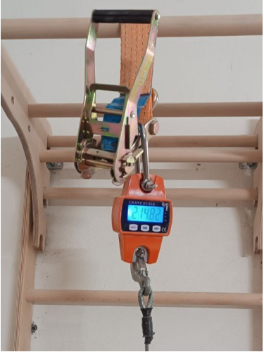 Wall bars climbing frame monkey barsP60