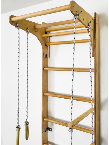 Wall bars climbing frame monkey barsP60