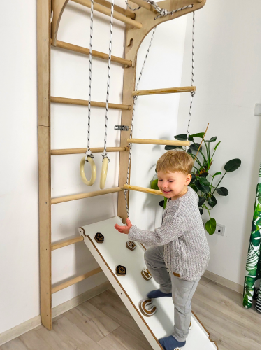 Wall bars climbing frame monkey barsP60