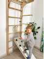Wall bars climbing frame monkey barsP60