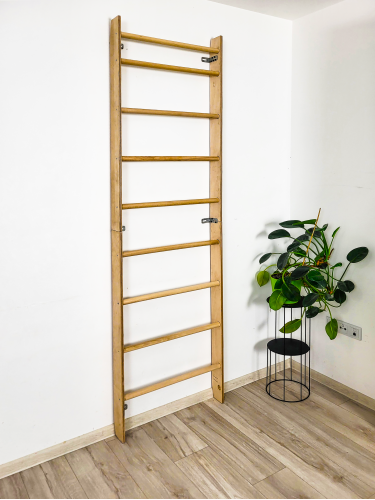 Wall bars climbing frame monkey barsP60