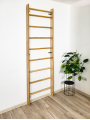 Wall bars climbing frame monkey barsP60