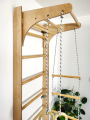 Wall bars climbing frame monkey barsP60